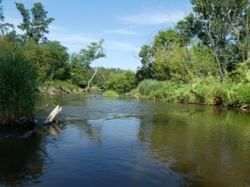 Środowisko trzepli w PKMWiW , <p><em>W. Pogorzelska</em></p>